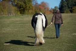 2016 025 colleen fotoshooting