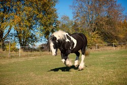 2016 026 colleen fotoshooting