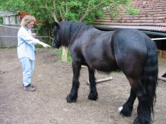 2006 tsns 05 cadero 003