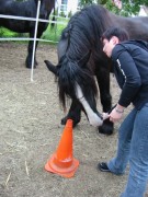 2006 tsns 05 cadero 003