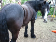 2006 tsns 05 cadero 017