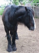 2006 tsns 05 cadero 003