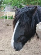 2006 tsns 05 cadero 003