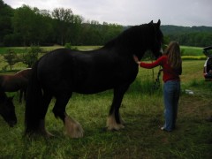 2006 tsns 05 lance 037