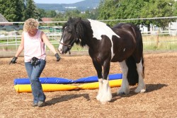 2006 tsns 07 calano 4763