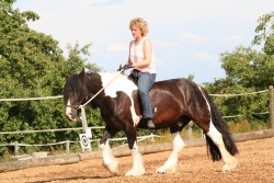 2006 tsns 07 calano 4763