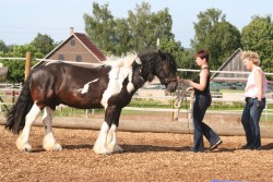 2006 tsns 07 calano 4763