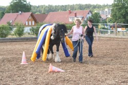 2006 tsns 07 calano 4763