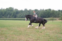 shireriding 08 2006 001