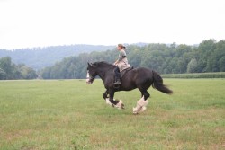 shireriding 08 2006 001