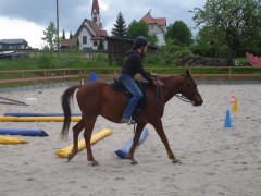 bilderaichelberg 030