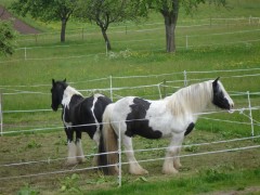 bilderaichelberg 030