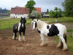 bilderaichelberg 030