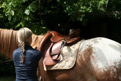 mühlhausen17 05 09 047