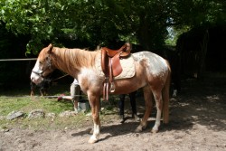 mühlhausen17 05 09 047