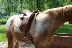 mühlhausen17 05 09 047