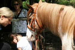 mühlhausen17 05 09 047