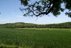 mühlhausen17 05 09 047