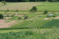 mühlhausen17 05 09 047