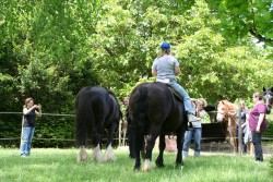 mühlhausen17 05 09 047