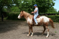 mühlhausen17 05 09 047