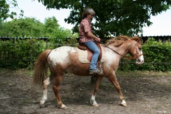 mühlhausen17 05 09 047