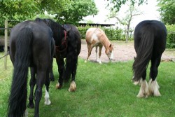 mühlhausen17 05 09 047