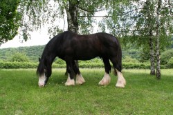 mühlhausen17 05 09 047