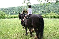 mühlhausen17 05 09 047