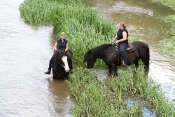 mühlhausen17 05 09 047