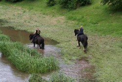 mühlhausen17 05 09 047