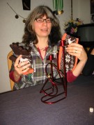 weifei tsns 2009 001