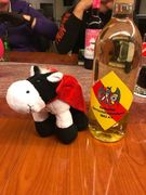 tsns 12 bei dina 001