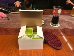 tsns 12 bei dina 001