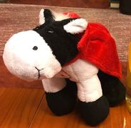 tsns 12 bei dina 013